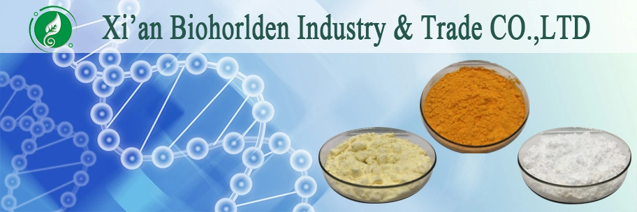 Food Additives Raw Powder Radix Notoginseng Extract Powder 80% Panax Notoginsenosides