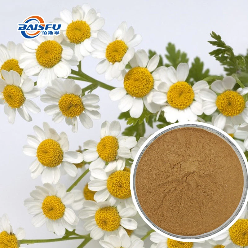 Natural Plant Extract White Flower Pyrethrum Extract