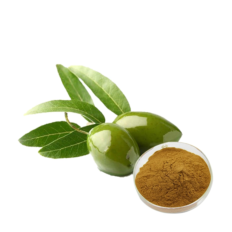Comext China Factory Price Free Sample USA Stock Herbal Olea Europaea 98% Oleanolic Acid 10% 20% Hydroxytyrosol 40% Oleuropein Powder Plant Olive Leaf Extract