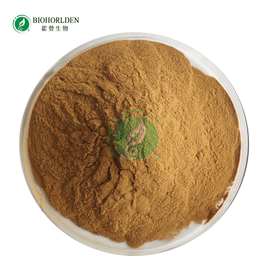 Food Additives Raw Powder Radix Notoginseng Extract Powder 80% Panax Notoginsenosides