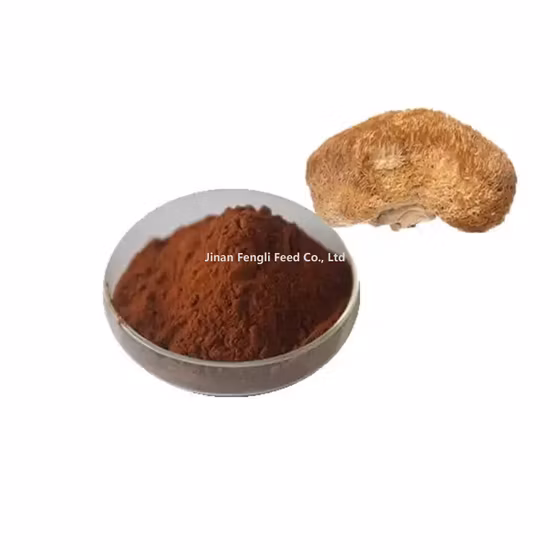 Natural Organic Mane Mushroom Extract Powder Animal Feed Food Additive