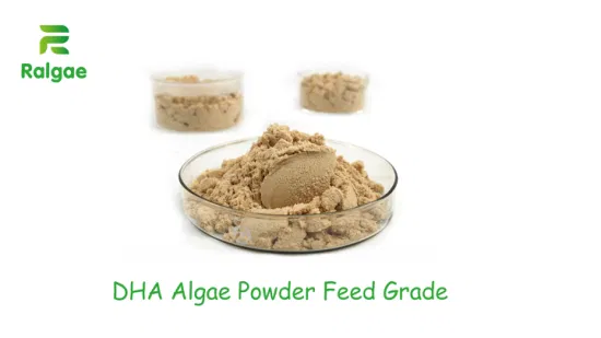 DHA Algae Powder Animal Feed Additive Pets Food Nutrition Supplement CAS6217