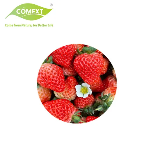 Comext Antioxidant Superfood Healthy Food Ingredient Acai Berry Juice Powder