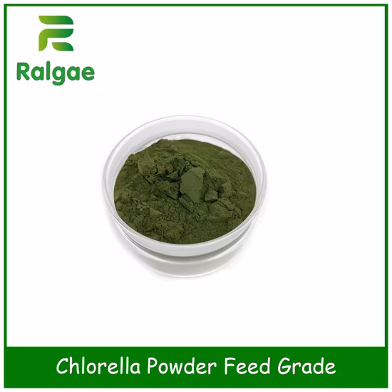 Chlorella Powder Feed Grade Natural Algae Additive