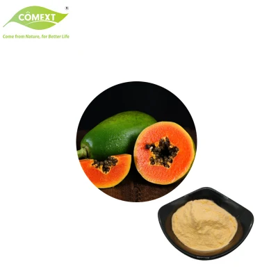 Comext Supply Free Sample Natural Papaya Extract Enzyme Papain Powder