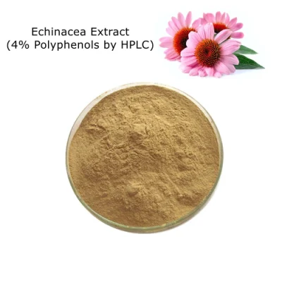 100% Natural Echinacea Extract (4% Polyphenols by HPLC) as Food Additives