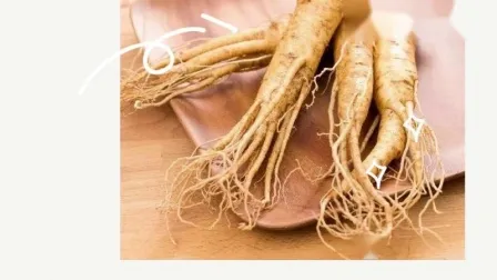 Supply High Quality Low Pesticide Residues Ginseng Root Extract/ Ginsenosides