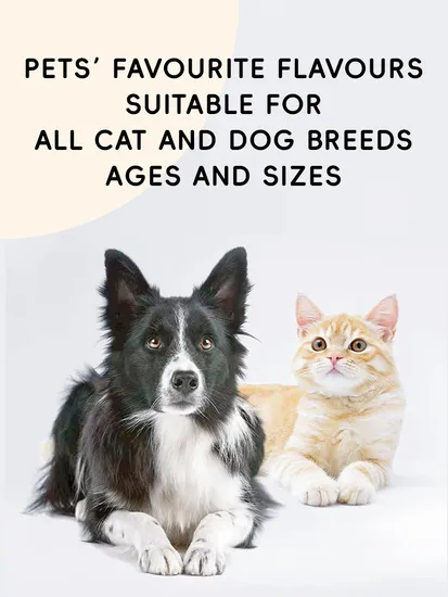 Organic Pet Joint Care Lecithin Pet Joint Health Supplement Soft Chew Food