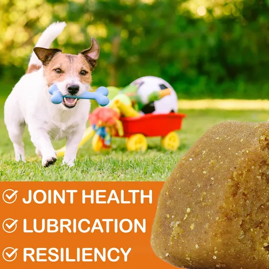 Soft Chews Pet Health Joint Care Nutritional Supplements Dog & Cat Food