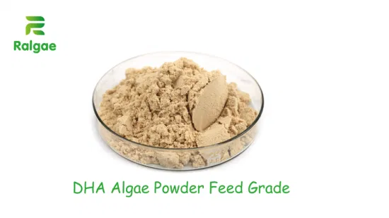 Egg Layers Feed Nutrition Additive Increase Egg DHA Content Natural DHA Alage Powder Additive Enhancer CAS6217