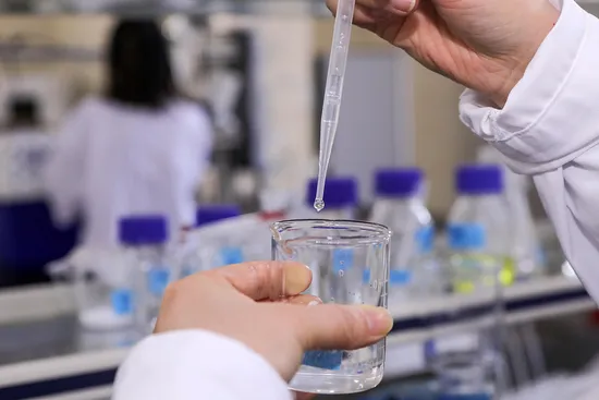 E. K Herb ISO & Kosher & Halal Certified Manufacturer Natural Skin Care Raw Material Phloretin 98% 99% Phloridzin Polyphenol Apple Extract CAS 60