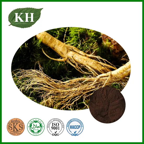 100% Natural Ginseng Root Extract/Ginseng Extract CAS No.: 90045