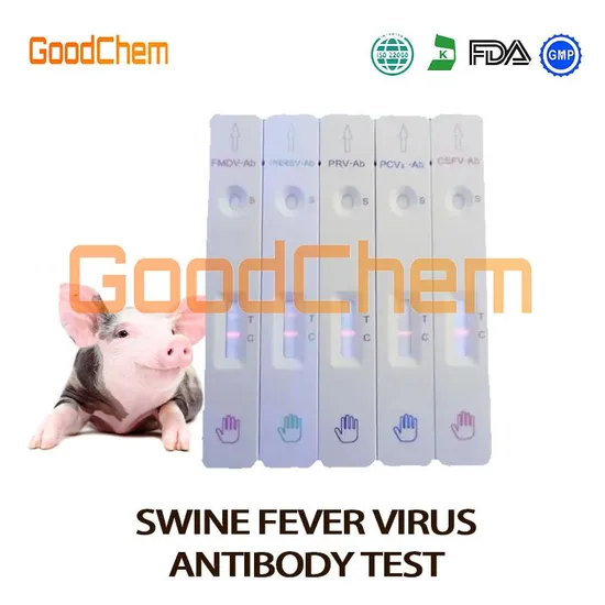 Testsealabs Hot African Swine Fever Virus Antibody Test Asfv Ab Test Kit for Veterinary Drug Use