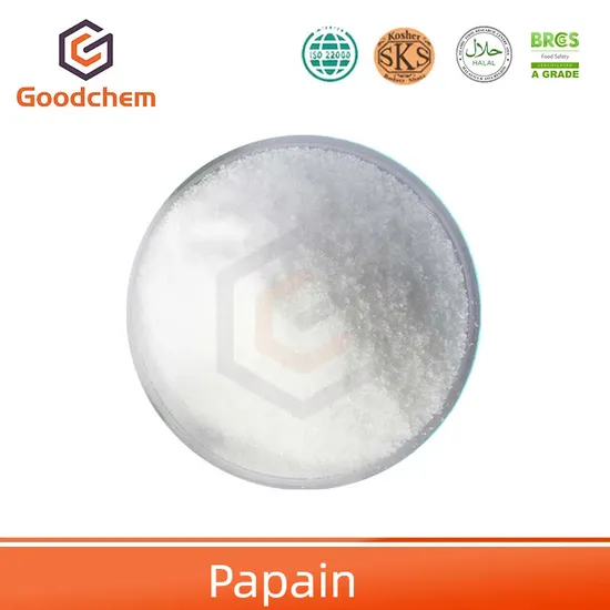Goodchem Factory Supply Bulk Best Price Papain Powder Food Additive Enzymes CAS 9001