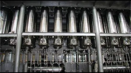 Ginseng Root Extract with Immune