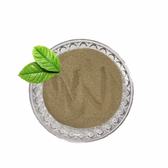 Pure & Natural Oregano Oil Feed Additive with Carvacrol