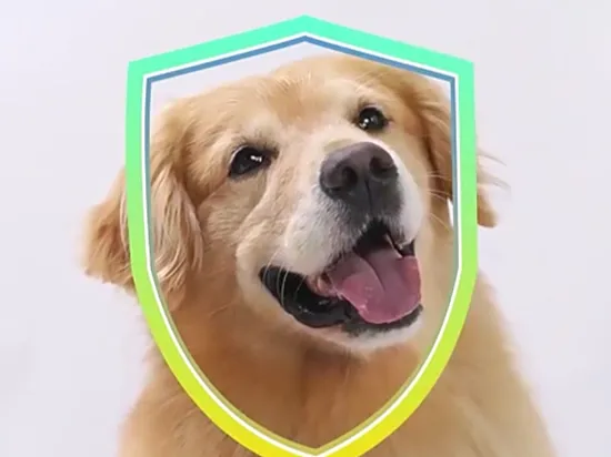 Pet Food Manufacture Soft Oral Flea Chews for Dogs Supplement 