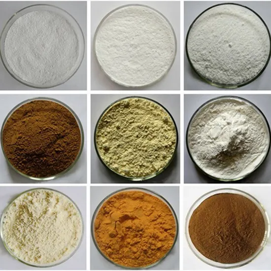 Food Additives Raw Powder Radix Notoginseng Extract Powder 80% Panax Notoginsenosides 