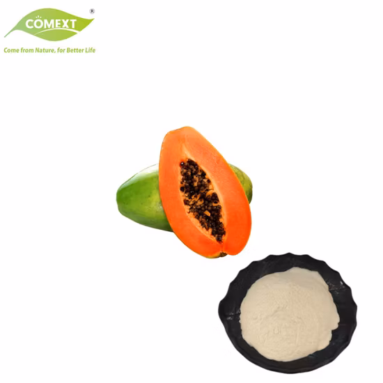 Comext Supply Free Sample Natural Papaya Extract Enzyme Papain Powder