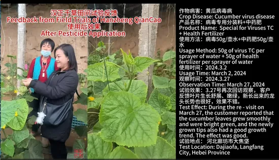 Bio Pesticide Fungicide for Bacteria and Viruses Auxiliary Synergistic Additive 