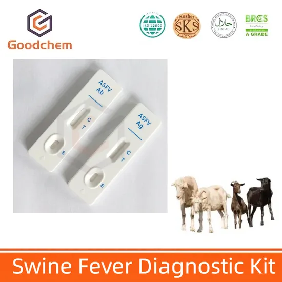 Testsealabs Hot African Swine Fever Virus Antibody Test Asfv Ab Test Kit for Veterinary Drug Use 