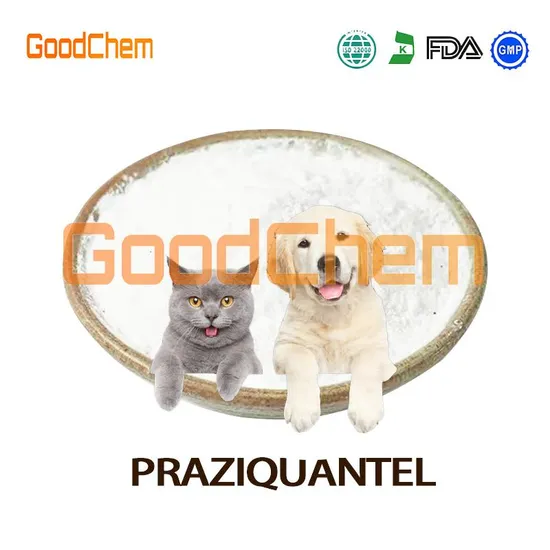Fast Shipping High Purity 99% Raw Material Pharmaceutical Intermediate Praziquantel Powder CAS 55268