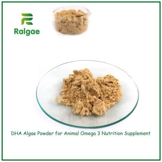 Aquatic Feed Feed Additive Natural Seaweed Powder