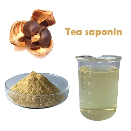 Hot Sales China Supplier Strict Technology Plant Extract Tea Saponins 