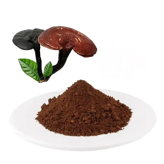 Natural Organic Mane Mushroom Extract Powder Feed Material Food Additives 