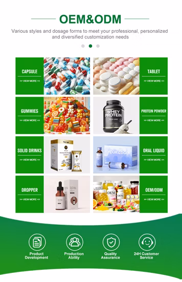 Food Additives Raw Powder Radix Notoginseng Extract Powder 80% Panax Notoginsenosides